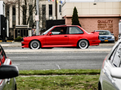 _MG_1768