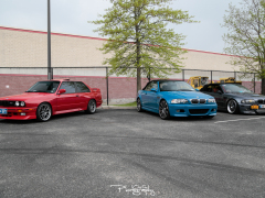 _MG_6184