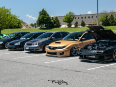 _MG_6373