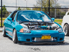 _MG_6438
