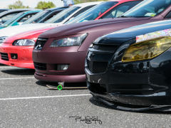 _MG_6569
